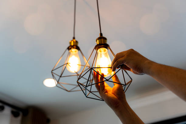 Best Local Electrician Companies  in Winnsboro, SC